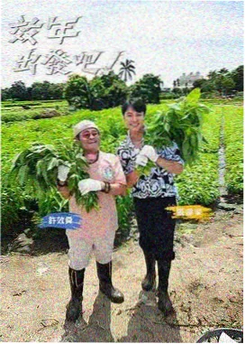 权谋风云